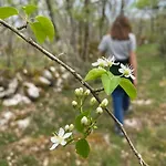 Le Domaine Quercus