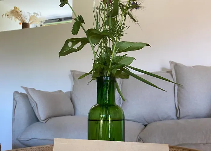 Le Domaine Quercus Senaillac-Lauzes