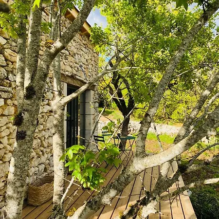 Le Domaine Quercus Couette-café Senaillac-Lauzes