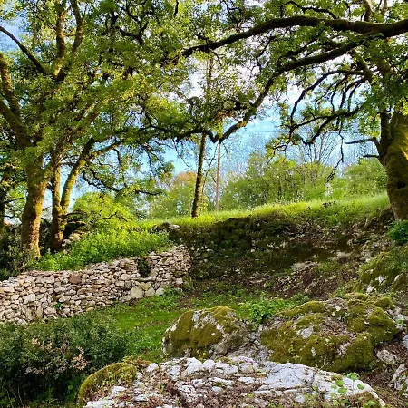 Le Domaine Quercus