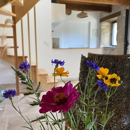 Le Domaine Quercus Couette-café