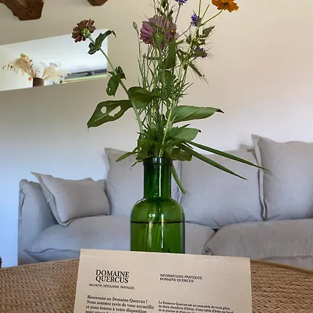 Le Domaine Quercus Senaillac-Lauzes