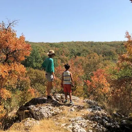 Couette-café Le Domaine Quercus
