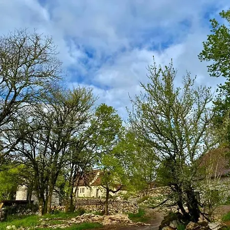 Le Domaine Quercus 4* Senaillac-Lauzes